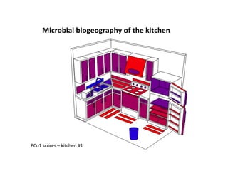 Microbial	
  biogeography	
  of	
  the	
  kitchen	
  




PCo1	
  scores	
  –	
  kitchen	
  #1	
  
 