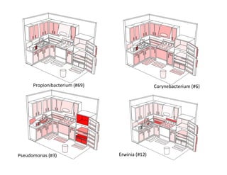 Propionibacterium	
  (#69)	
                            Corynebacterium	
  (#6)	
  




Pseudomonas	
  (#3)	
                    Erwinia	
  (#12)	
  
 