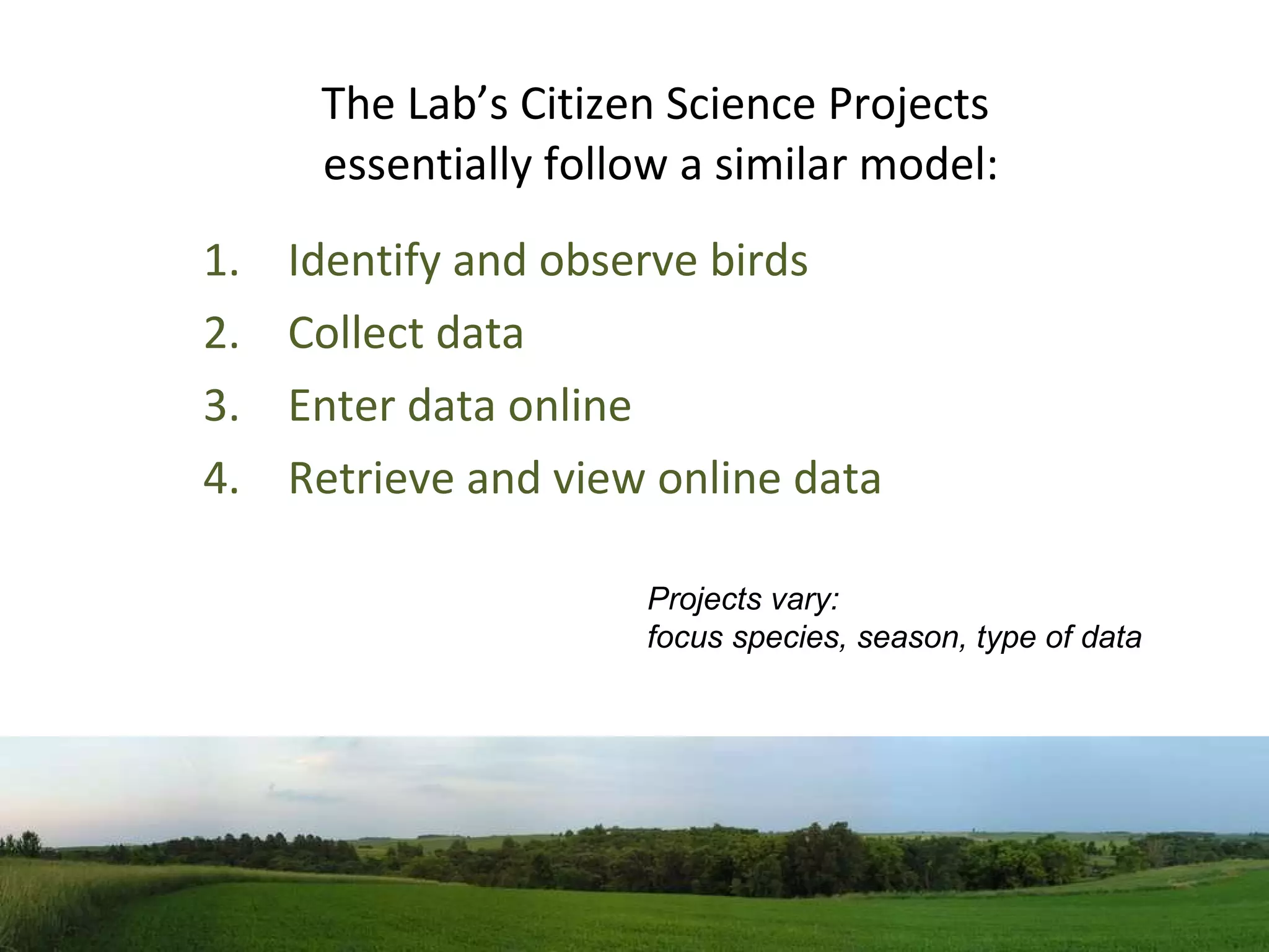 The Lab’s Citizen Science Projects  essentially follow a similar model: Identify and observe birds Collect data Enter data online Retrieve and view online data Projects vary:  focus species, season, type of data 