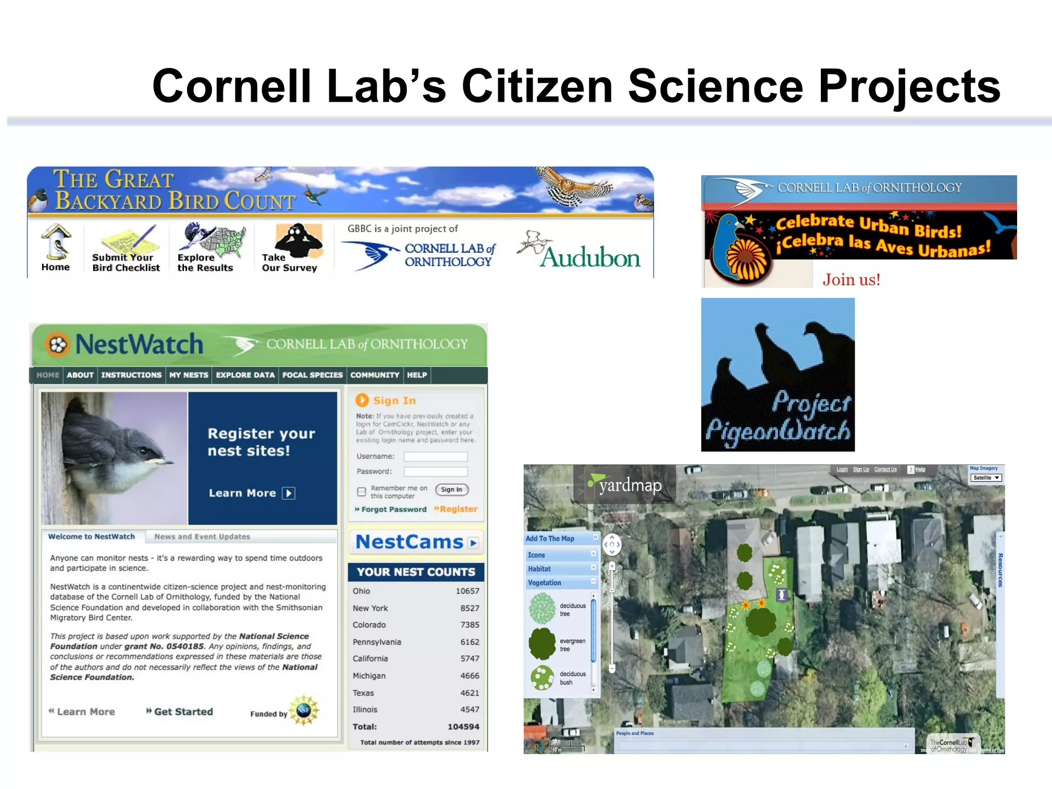 Cornell Lab’s Citizen Science Projects 
