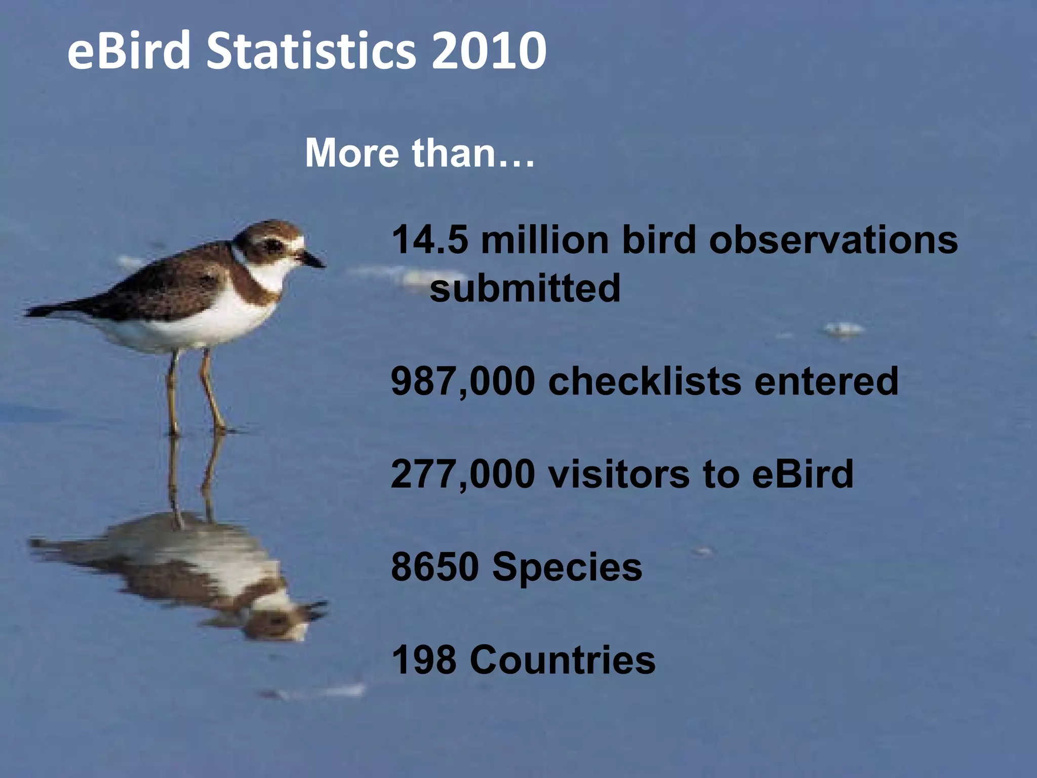 eBird Statistics 2010 More than… 14.5 million bird  observations submitted 987,000 checklists entered 277,000 visitors to eBird 8650 Species 198 Countries 