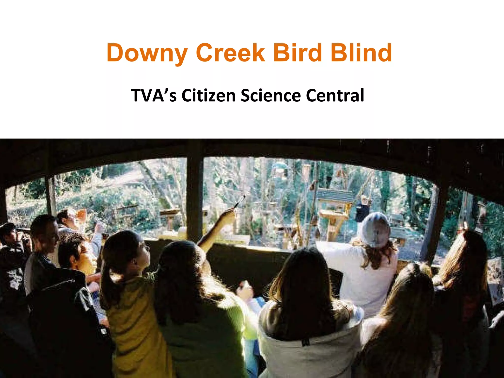 TVA’s Citizen Science Central Downy Creek Bird Blind 