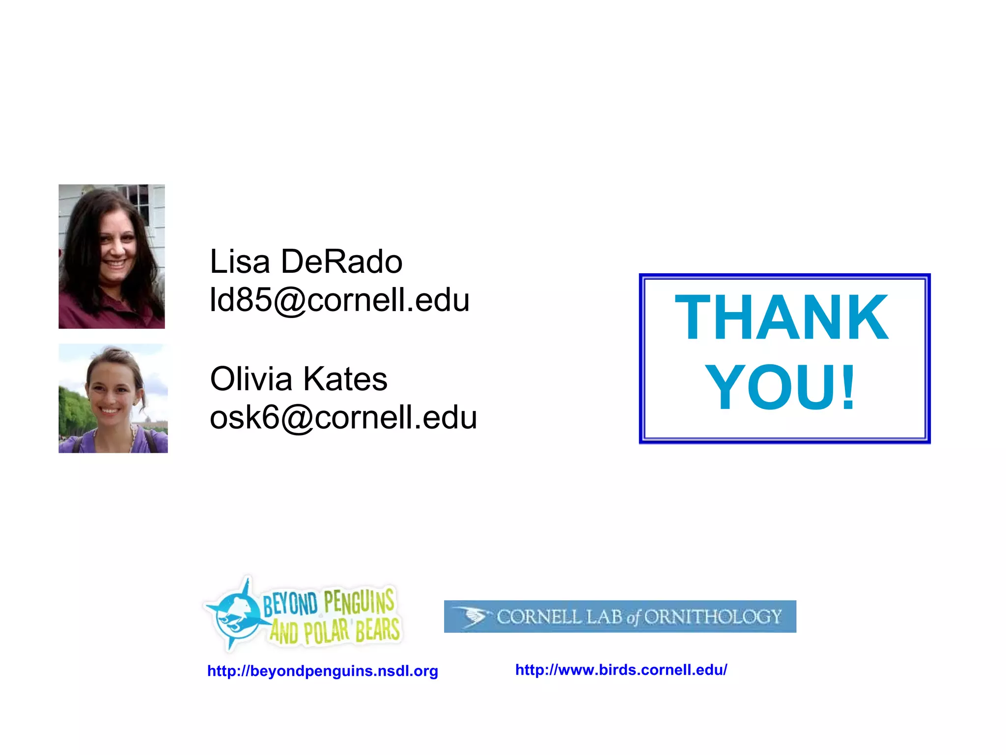 Olivia Kates [email_address] Lisa DeRado [email_address] THANK YOU! http://beyondpenguins.nsdl.org http://www.birds.cornell.edu/ 