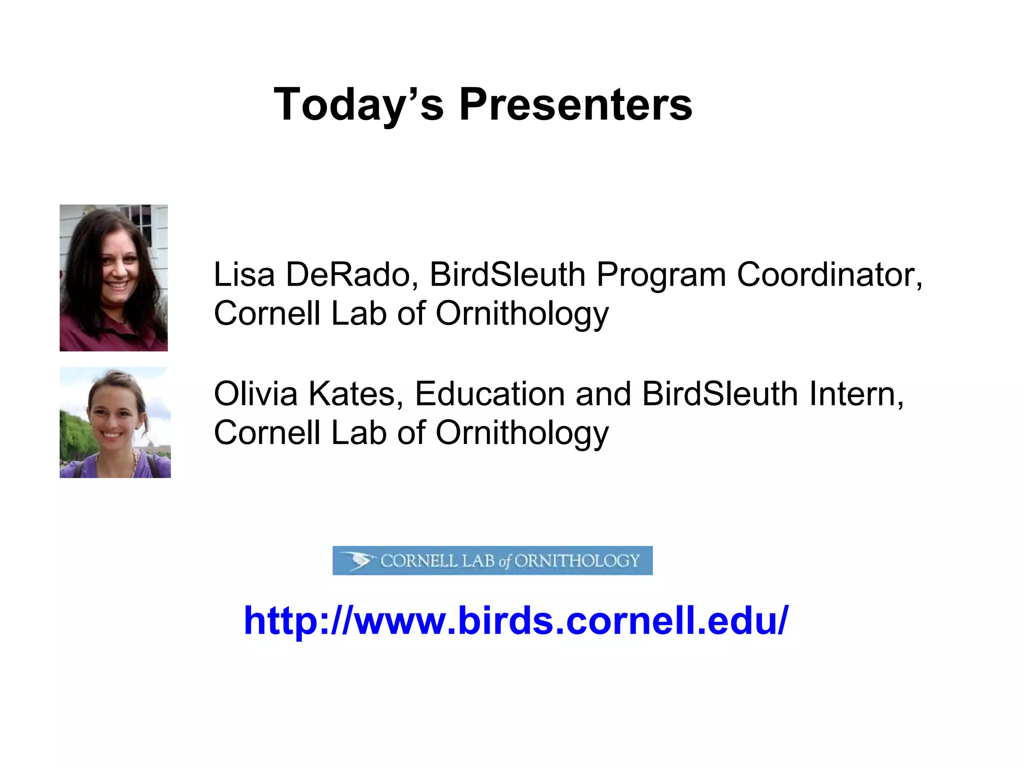 Today’s Presenters Olivia Kates, Education and BirdSleuth Intern, Cornell Lab of Ornithology Lisa DeRado, BirdSleuth Program Coordinator, Cornell Lab of Ornithology http://www.birds.cornell.edu/ 