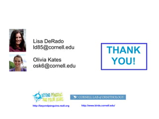 Olivia Kates [email_address] Lisa DeRado [email_address] THANK YOU! http://beyondpenguins.nsdl.org http://www.birds.cornel...