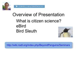Overview of Presentation http://wiki.nsdl.org/index.php/BeyondPenguins/Seminars What is citizen science? eBird Bird Sleuth 