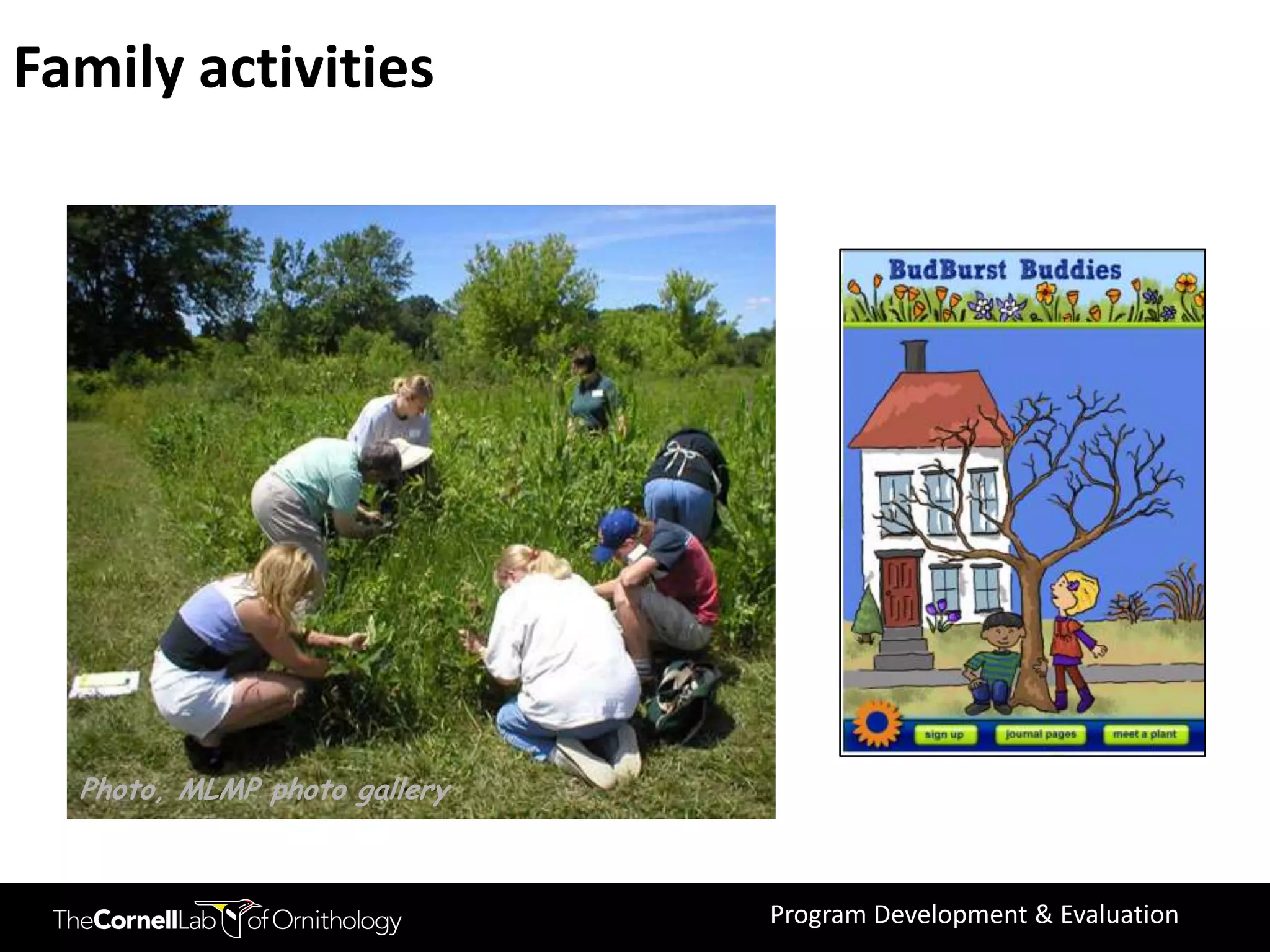Family activities




  Photo, MLMP photo gallery



                              Program Development & Evaluation
 