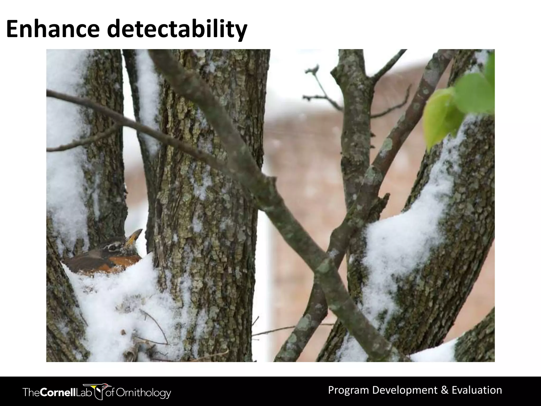 Enhance detectability




                        Program Development & Evaluation
 