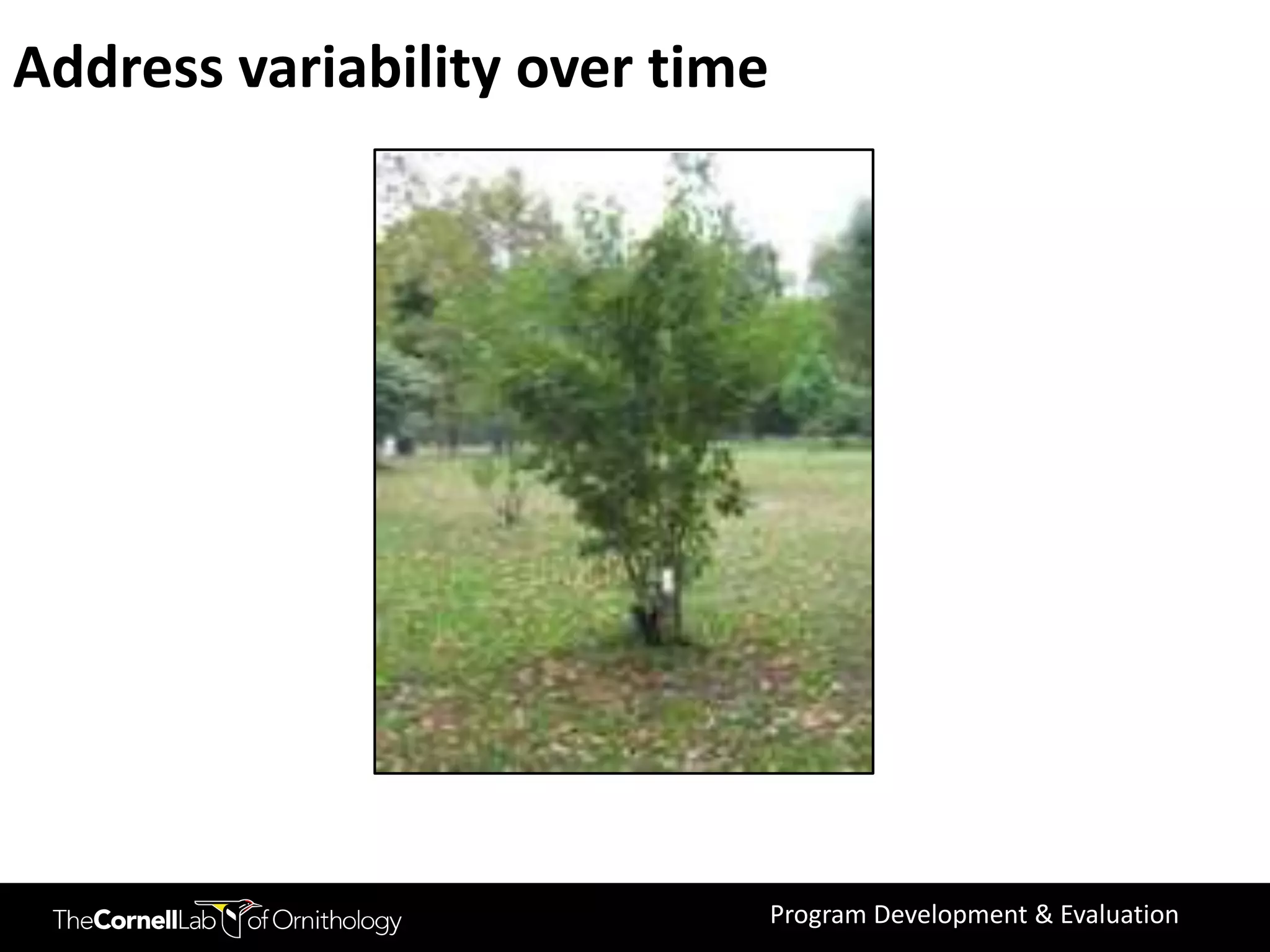 Address variability over time




                                Program Development & Evaluation
 