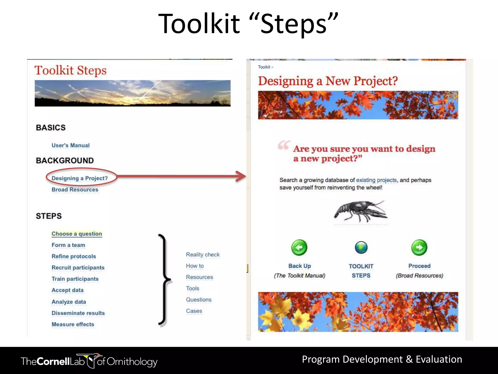 Toolkit “Steps”




           Program Development & Evaluation
 