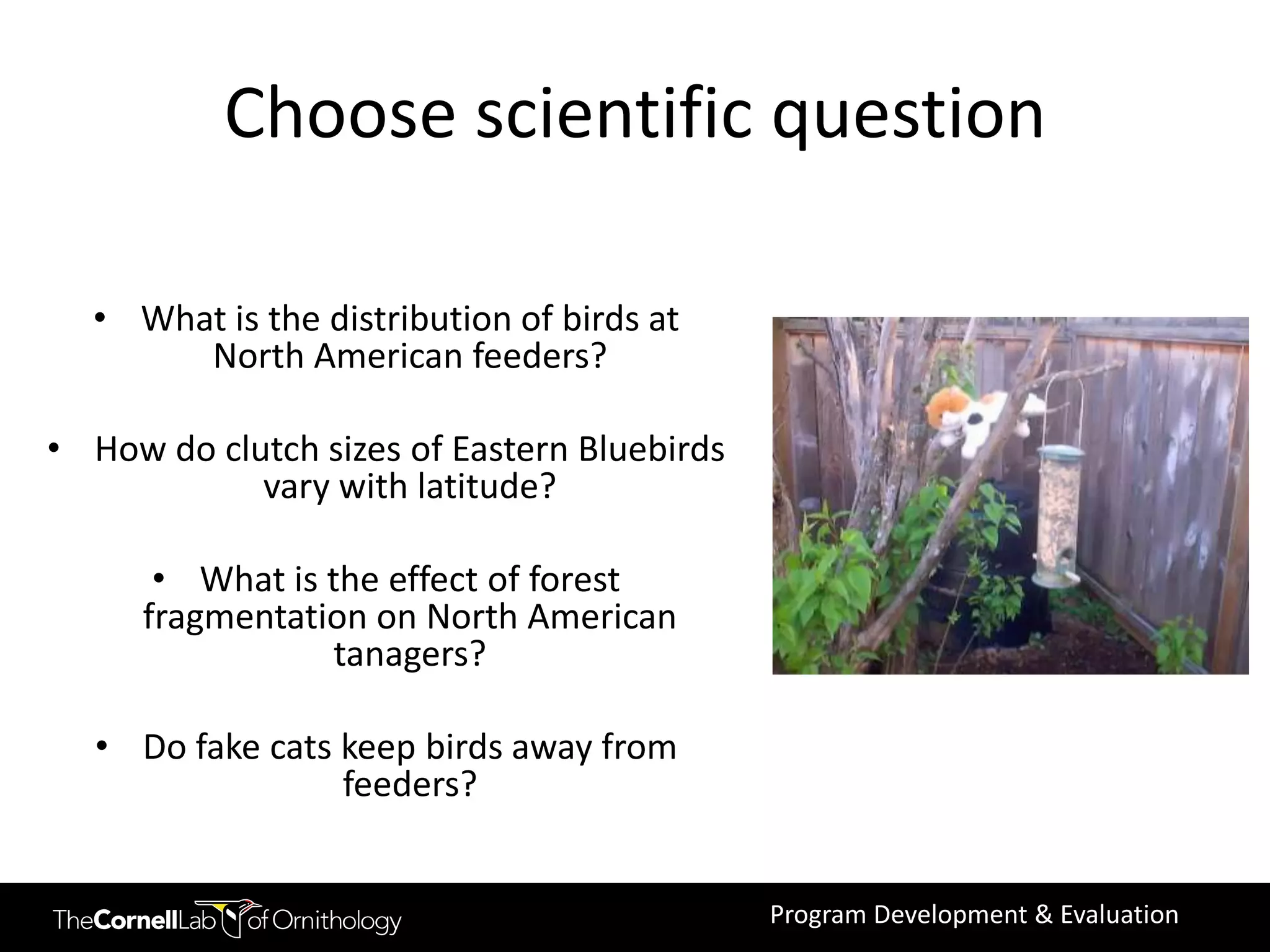 Choose scientific question

  • What is the distribution of birds at
       North American feeders?

• How do clutch sizes of Eastern Bluebirds
            vary with latitude?

      • What is the effect of forest
     fragmentation on North American
                 tanagers?

  • Do fake cats keep birds away from
                 feeders?


                                             Program Development & Evaluation
 