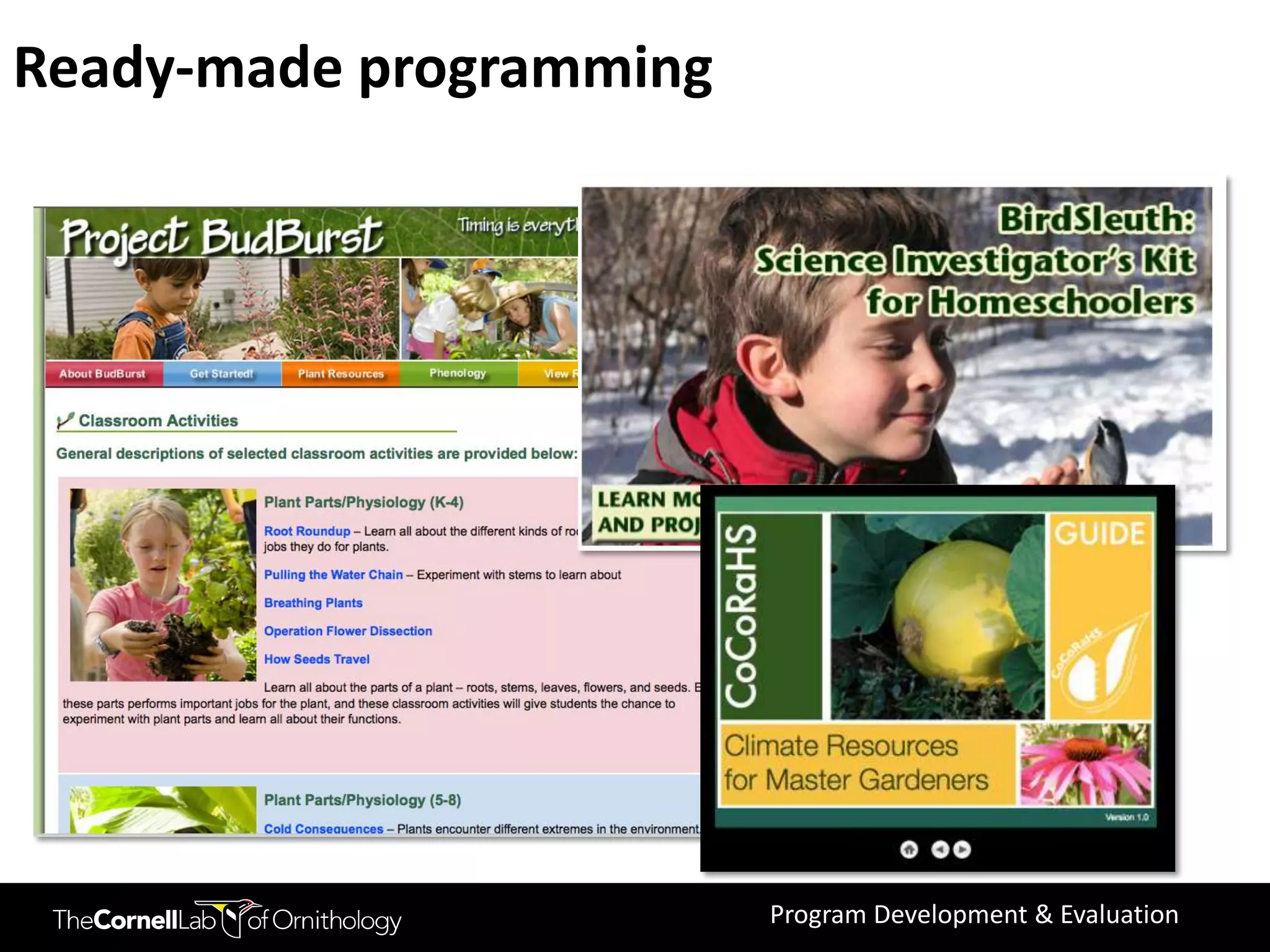 Ready-made programming




                         Program Development & Evaluation
 