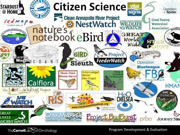 Nature Of Science Scientific American Case Study Nature Of Science Scientific American Case Study