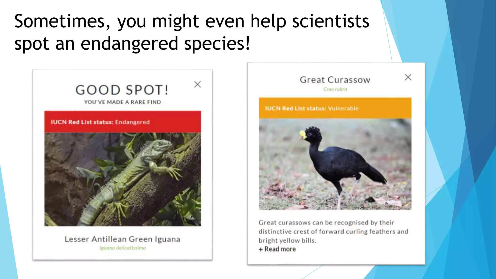 Sometimes, you might even help scientists
spot an endangered species!
 