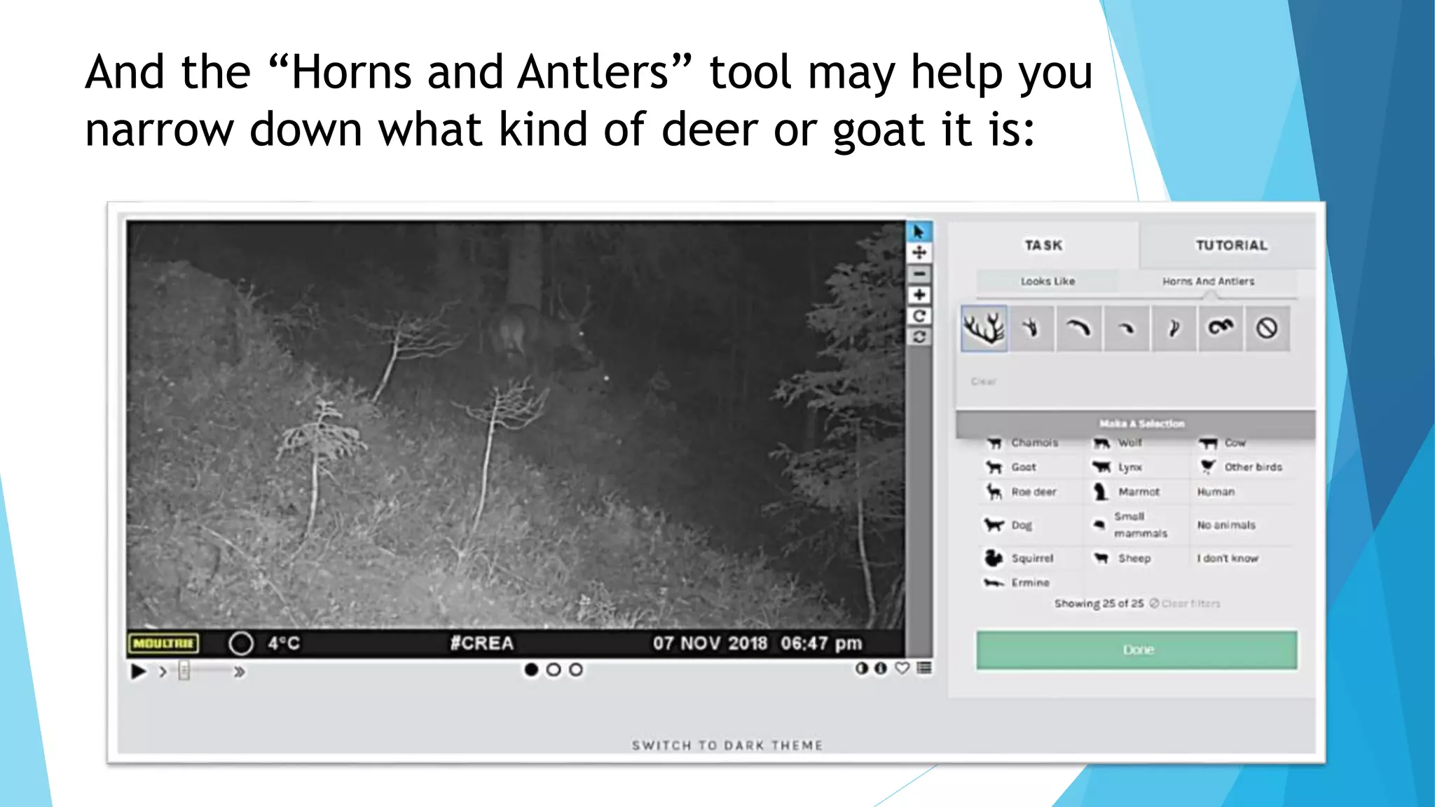 And the “Horns and Antlers” tool may help you
narrow down what kind of deer or goat it is:
 