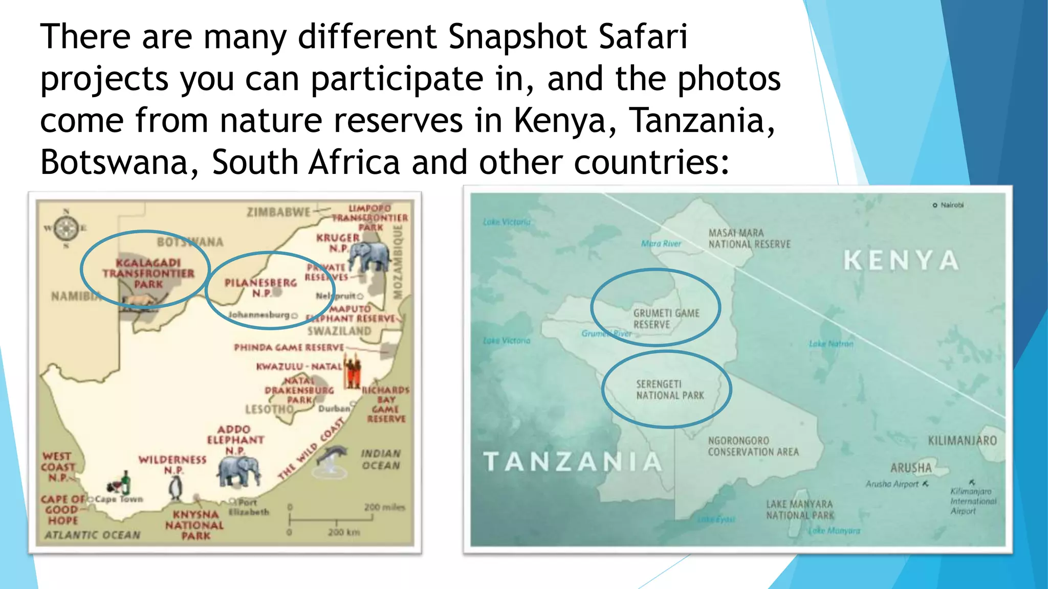 There are many different Snapshot Safari
projects you can participate in, and the photos
come from nature reserves in Kenya, Tanzania,
Botswana, South Africa and other countries:
 