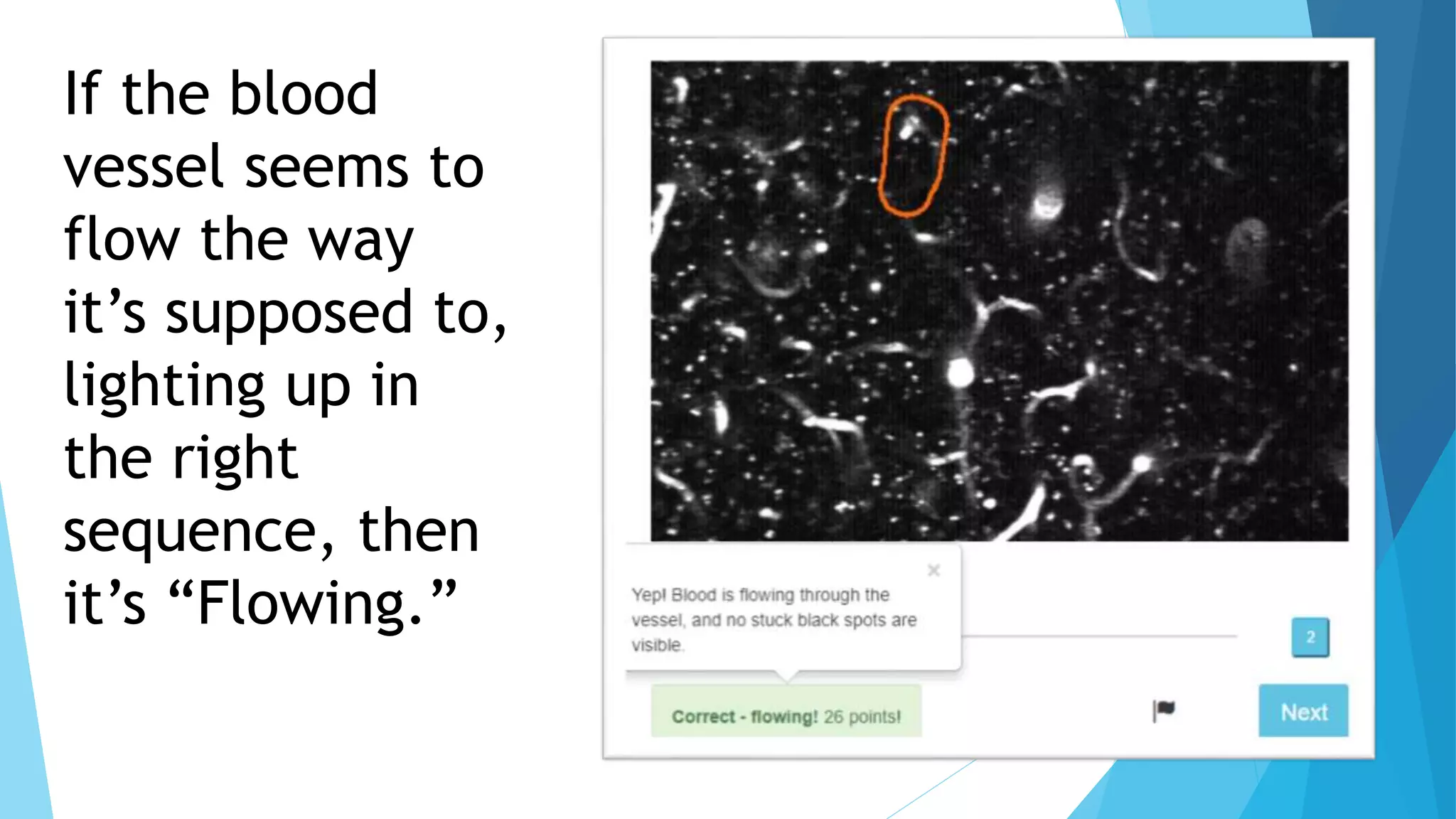 If the blood
vessel seems to
flow the way
it’s supposed to,
lighting up in
the right
sequence, then
it’s “Flowing.”
 