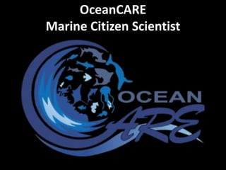 OceanCARE
Marine Citizen Scientist
 