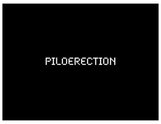 PILOERECTIOn
 
