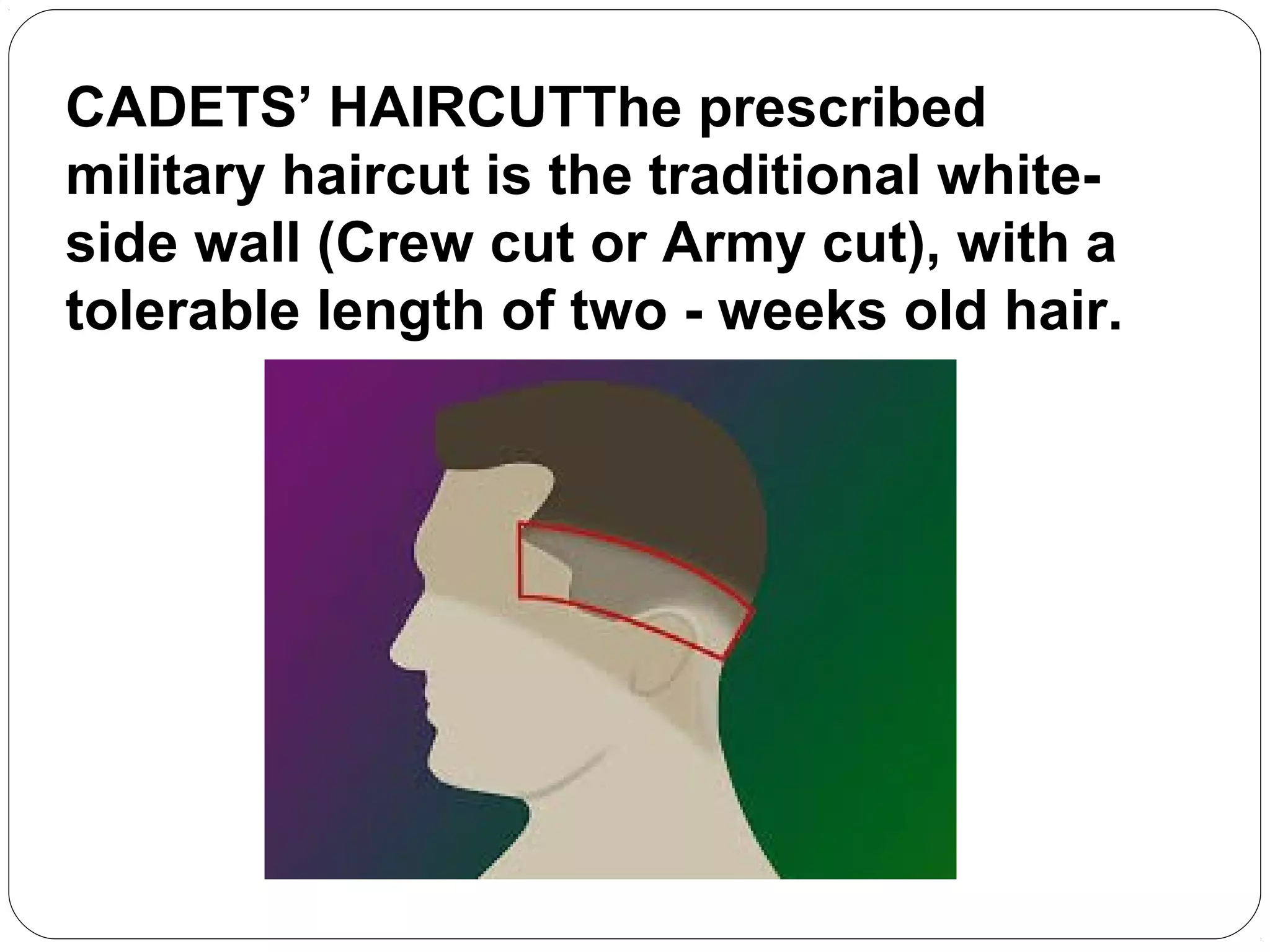 Citizenship advancement training | PPT