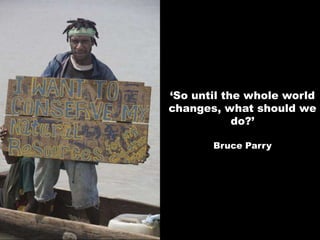 ‘So until the whole world changes, what should we do?’Bruce Parry