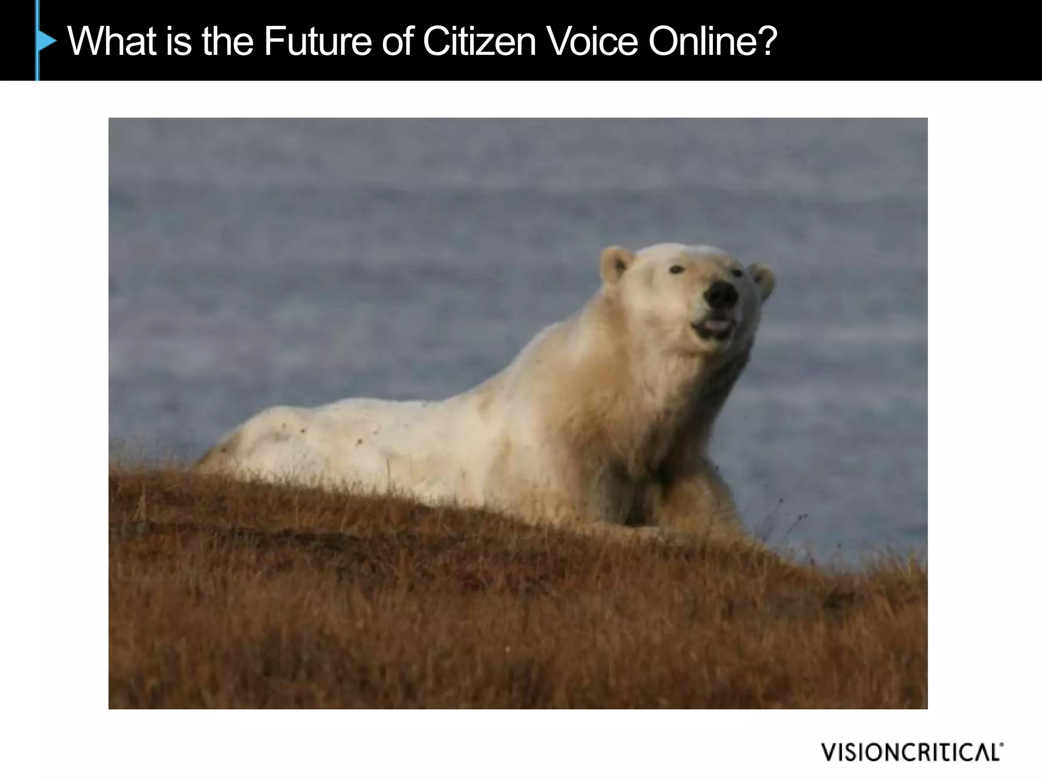 What is the Future of Citizen Voice Online?
 