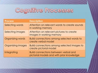 Cognitive Processes