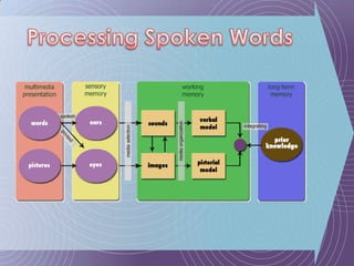 Processing Spoken Words