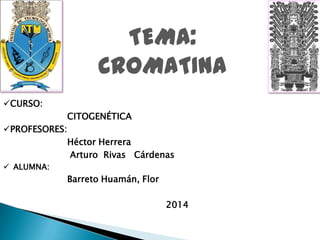 TEMA:
CROMATINA
CURSO:
CITOGENÉTICA
PROFESORES:
Héctor Herrera
Arturo Rivas Cárdenas
 ALUMNA:

Barreto Huamán, Flor

2014

 