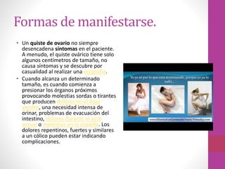 Formas de manifestarse.
• Un quiste de ovario no siempre
desencadena síntomas en el paciente.
A menudo, el quiste ovárico tiene solo
algunos centímetros de tamaño, no
causa síntomas y se descubre por
casualidad al realizar una ecografía.
• Cuando alcanza un determinado
tamaño, es cuando comienza a
presionar los órganos próximos
provocando molestias sordas o tirantes
que producen dolores en el bajo
vientre, una necesidad intensa de
orinar, problemas de evacuación del
intestino, dolores durante el acto
sexual o molestias en la espalda. Los
dolores repentinos, fuertes y similares
a un cólico pueden estar indicando
complicaciones.
 