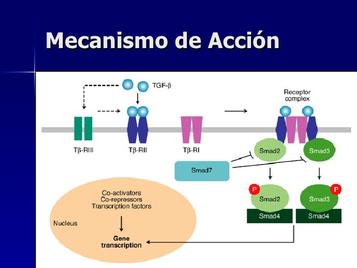 Citocinas Citocinas