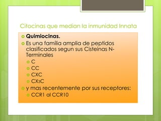 Citocinas que median la inmunidad Innata
 Quimiocinas.
 Es una família amplia de peptidos
  clasificados segun sus Cisteinas N-
  Terminales
      C
      CC
      CXC
      CX3C
y    mas recentemente por sus receptores:
      CCR1 al CCR10
 