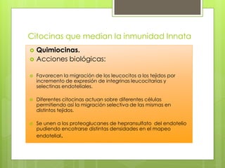 Citocinas que median la inmunidad Innata
   Quimiocinas.
   Acciones biológicas:

   Favorecen la migración de los leucocitos a los tejidos por
    incremento de expresión de integrinas leucocitarias y
    selectinas endoteliales.

   Diferentes citocinas actuan sobre diferentes células
    permitiendo así la migración selectiva de las mismas en
    distintos tejidos.

   Se unen a los proteoglucanes de hepransulfato del endotelio
    pudiendo encotrarse distintas densidades en el mapeo
    endotelial.
 
