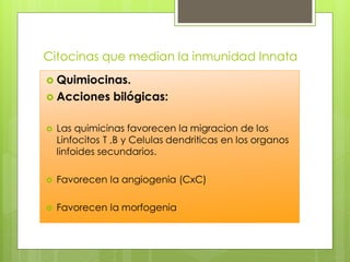 Citocinas que median la inmunidad Innata
 Quimiocinas.
 Acciones      bilógicas:

   Las quimicinas favorecen la migracion de los
    Linfocitos T ,B y Celulas dendriticas en los organos
    linfoides secundarios.

   Favorecen la angiogenia (CxC)

   Favorecen la morfogenia
 