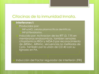 Citocinas de la inmunidad Innata.
   Interferones I:
     Producidos por:
           INF-a:MO, celulas plasmociticas dentriticas.
           INF-b:Fibroblastos.
       Inducido por: Activacion de los RTT (3, 7,9) en
        membranas endosomicas, tambien sensores
        citoplásmicos RIG-I y MDA-5 por reconocimiento
        de ARNbc, ARNmc, secuencias no metiladas de
        CpG. También por la unión de CD 40 con su
        lignado en PA.



   Inducción del Factor regulador de Interferón (FRI)
 