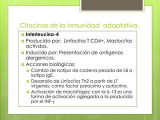 Citocinas de la inmunidad adaptativa.
   Interleucina-4
   Producido por: Linfocitos T CD4+, Mastocitos
    activdos.
   Inducido por: Presentación de antigenos
    alergenicos.
   Acciones biológicas:
       Cambio de Isotipo de cadena pesada de LB a
        isotipo IgE.
       Desarrollo de Linfocitos Th2 a partir de LT
        virgenes: como factor paracrino y autocrino.
       Activación de macrófagos: con la IL-13 es una
        forma de activación agregada a la producida
        por el INF-g
 