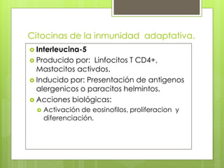 Citocinas de la inmunidad adaptativa.
 Interleucina-5
 Producido por: Linfocitos T CD4+,
  Mastocitos activdos.
 Inducido por: Presentación de antigenos
  alergenicos o paracitos helmintos.
 Acciones biológicas:
     Activación de eosinofilos, proliferacion y
      diferenciación.
 