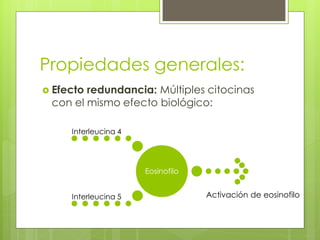 Propiedades generales:
 Efectoredundancia: Múltiples citocinas
 con el mismo efecto biológico:

     Interleucina 4




                      Eosinofilo


     Interleucina 5                Activación de eosinofilo
 