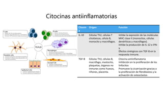 Citocinas antiinflamatorias
Citocin
a
Origen Función
IL-10 Células Th2, células T
citotóxicas, célula B,
monocito y macrófagos.
Inhibe la expresión de las moléculas
MHC clase II (monocitos, células
dendríticas y macrófagos).
Inhibe la producción de IL-12 e IFN-
y.
Efectos sinérgicos con TGF-B en la
respuesta inmune.
TGF-B Células Th3, células B,
macrófago, mastocito,
plaquetas, órganos no
inmunes como huesos,
riñones, placenta.
Citocina antiinflamatoria
Inhibición en la proliferación de los
linfocitos
Promueve la cicatrización gracias a
la proliferación de fibroblastos y la
activación de osteoclastos
 