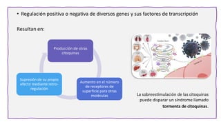 • Regulación positiva o negativa de diversos genes y sus factores de transcripción
Resultan en:
Producción de otras
citoquinas
Aumento en el número
de receptores de
superficie para otras
moléculas
Supresión de su propio
efecto mediante retro-
regulación
La sobreestimulación de las citoquinas
puede disparar un síndrome llamado
tormenta de citoquinas.
 