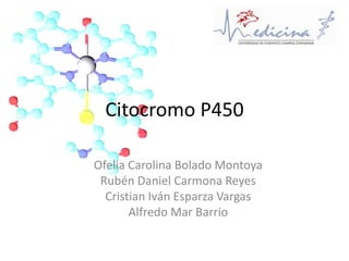 Citocromo P450 
Ofelia Carolina Bolado Montoya 
Rubén Daniel Carmona Reyes 
Cristian Iván Esparza Vargas 
Alfredo Mar Barrio 
 
