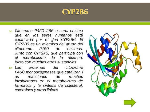 metabolismo del calcio y fosforo - Información general Un