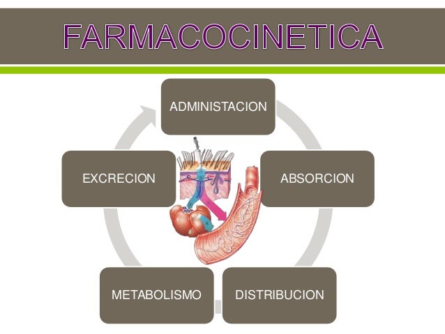 Resultado de imagen para farmacocinetica absorcion distribucion metabolismo eliminacion
