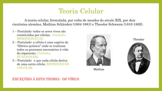 Teoria Celular
A teoria celular, formulada, por volta de meados do século XIX, por dois
cientistas alemães, Mathias Schleiden (1804-1881) e Theodor Schwann (1810-1882).
1 – Postulado: todos os seres vivos são
constituídos por células . Unidades
MORFOLÓGICAS.
2 – Postulado: a célula é uma espécie de
"fábrica química" onde se realizam
todos os processos necessários à vida
do organismo. Unidades
FUNCIONAIS.
3 – Postulado: e que cada célula deriva
de uma outra célula. REPRODUÇÃO
CELULAR. Mathias
Theodor
EXCEÇÕES À ESTA TEORIA: OS VÍRUS
 