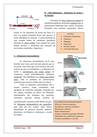Citoesqueleto

                                       B – Microfilamentos - filamentos de actina e
                                       de miosina

                                              Formados por duas cadeias em espiral de
                                       monômeros globosos da proteína actina G que se
                                       polimerizam lembrando dois colares de pérolas
                                       formando uma estrutura quartenária fibrosa

(actina F). Os filamentos de actina são finos (5-7
                                                                     ACTINA
nm) e se juntam formando feixes mais grossos. É
                                                                Filamentos Polarizados
muito abundante no músculo. A actina participa de
                                                                Dinâmicos
uma camada dentro da membrana plasmática
                                                                Migração
chamada de córtex celular. Essa camada tem como
                                                                Fagocitose
função reforçar a membrana que participa de                     Divisão Celular
movimentos amebóides e fagocitose.                              Contração Muscular


C – Filamentos intermediários

        Os filamentos intermediários (8-10 nm)
recebem esse nome, pois são mais grossos que os
de actina e mais finos que os de miosina. São mais
estáveis do que os microtúbulos e os filamentos de
actina e permanecem por longo tempo no
citoplasma, sendo primordialmente elementos
estruturais. São abundantes em células que sofrem
atrito, onde se prendem aos desmossomos
(estruturas que unem as células umas às outras).
        Todos os filamentos intermediários têm a
mesma estrutura, sendo constituídos pela
agregação de moléculas alongadas, formadas por
três cadeias enroladas em hélice. Os filamentos
intermediários são formados por queratina,
vimentina, desmina, lamina, proteína de

neurofilamento e proteína ácida fibrilar da glia.    FILAMENTOS INTERMEDIÁRIOS
Os filamentos intermediários são específicos         •Fibras de 10nm de espessura
para cada um dos tecidos, desta forma,               •Resistência a estresses mecânicos
dependendo da proteína presente podemos              •Resistentes e duráveis
determinar, em biópsias e metástases, o tecido       •Rede tridimensional
de origem.                                           •Grande variedade de proteínas fibrilares
                                                     •Modulados por modificações químicas
                                                     •Estrutura semelhante a um cabo




Nathalia Fuga – CHE                                                               Página 3
 