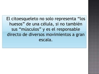 El citoesqueleto no solo representa “los
huesos” de una célula, si no también
sus “músculos” y es el responsable
directo de diversos movimientos a gran
escala.

 