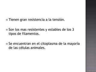  Tienen

gran resistencia a la tensión.

 Son

los mas resistentes y estables de los 3
tipos de filamentos.

 Se

encuentran en el citoplasma de la mayoría
de las células animales.

 