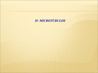 II- MICROTÚBULOS
 