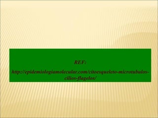 REF:
http://epidemiologiamolecular.com/citoesqueleto-microtubulos-
cilios-flagelos/
 
