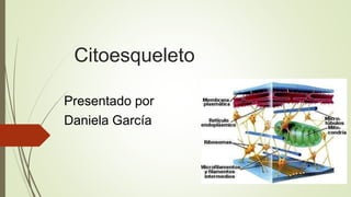 Citoesqueleto
Presentado por
Daniela García
 